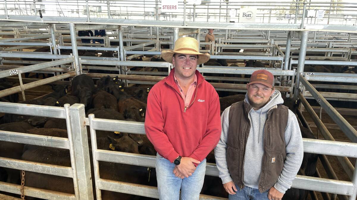 Ben Seaman, Elders Goulburn, and vendor Grant Bulloch, Braidwood, with 21 Angus steers, 319kg, which was awarded the best presented pen of steers and sold for $700. Photo by Alexandra Bernard.