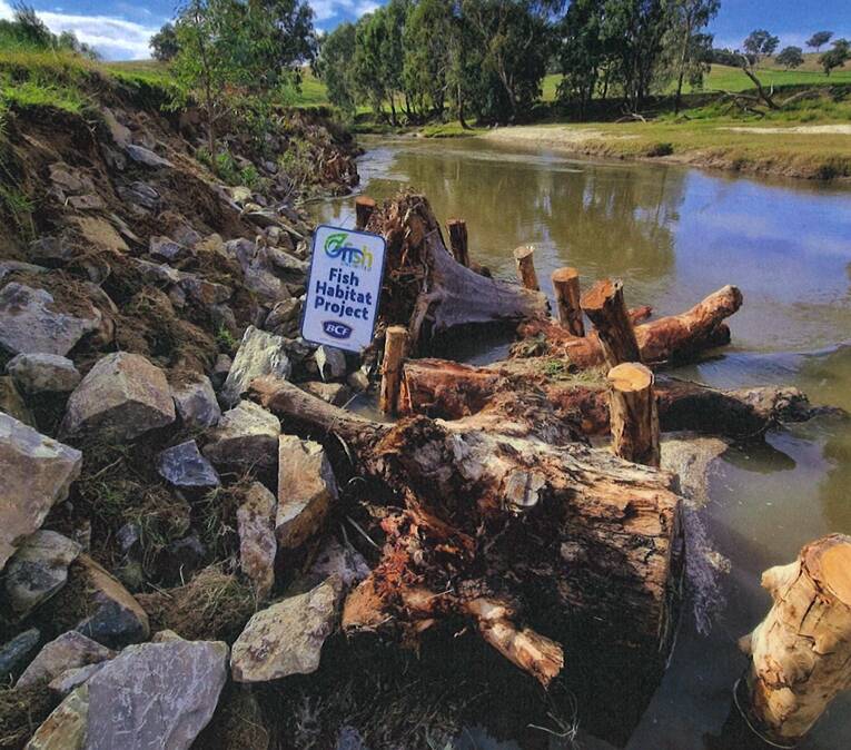 An example of an Oz Fish habitat project. Picture supplied