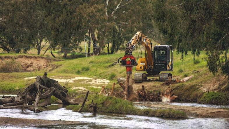 Logs will be anchored five meters apart at five separate locations near Carrathool, using pins and weight to ensure they endure potential flooding and are protected from current. Picture supplied
