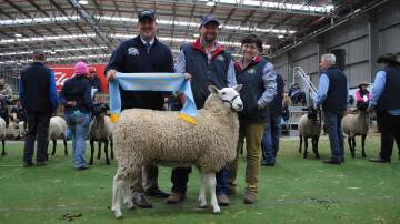 Judge Jeff Sutton, Temora, NSW, with Bauer Border Leicester stud co-principals Jamie and Tracey Buerckner, Ariah Park, NSW, and their supreme champion ewe. Picture by Barry Murphy